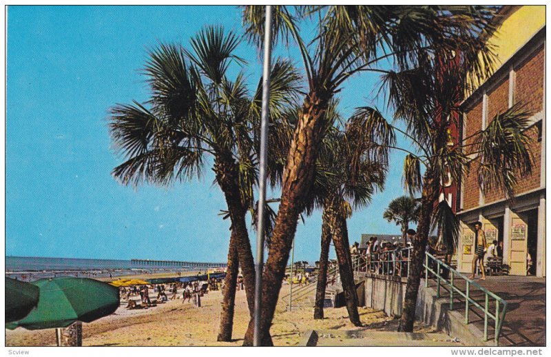 Boardwalk at Pavilion , MYRTLE BEACH , South Carolina , 1950-60s