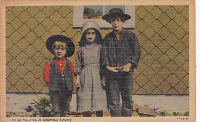 Pennsylvania Amish Children Of Lancaster County Curteich