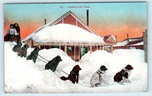 ALASKA~  Winter Scene ~ DOG TEAM in Front of HOUSE c1910s Mitchell #761 Postcard