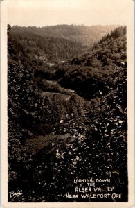 1920s Looking Down the Alsea Valley Near Waldport OR Ball Real Photo Postcard