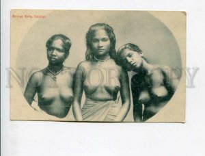 3173800 CEYLON nude Rodiya Girls Vintage postcard