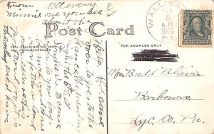 Comic Clown and Dog Postcard