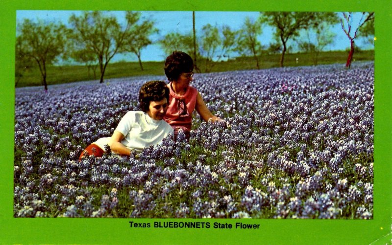 TX - Texas Bluebonnets  (State Flower)