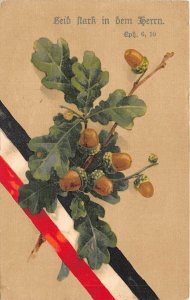 US84 greetings card Germany  flag and almond branch Patriotic ww1