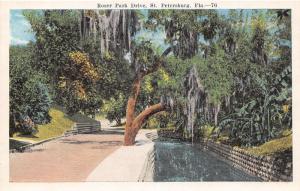 F7/ St Petersburg Florida c1915 Postcard Roser Park Drive
