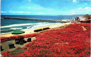 USA California San Clemente Public Bathing Beach Vintage Postcard C163