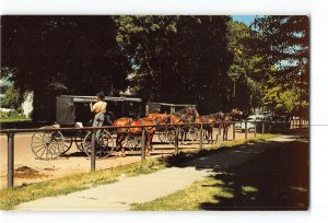 La Grange Indiana IN Vintage Postcard Horse and Buggy Parking