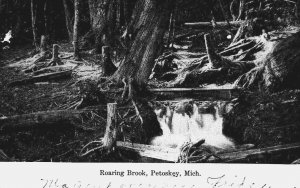 Circa 1900-08 Roaring Brook in Petoskey, Michigan Vintage Postcard P12