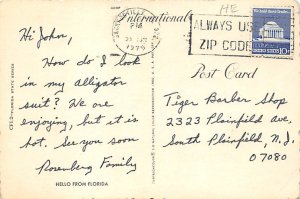 Florida Alligator  Alligator FL