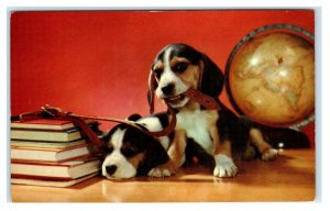 BRAINY BEAGLES Cute Dogs w/ Books, GLOBE c1950s Crocker Co of SF  Postcard 
