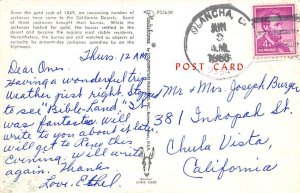 On the Desert California, USA Donkey Postcard