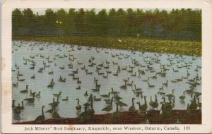 Jack Miner's Bird Sanctuary Kingsville Ontario ON c1950 Postcard H51