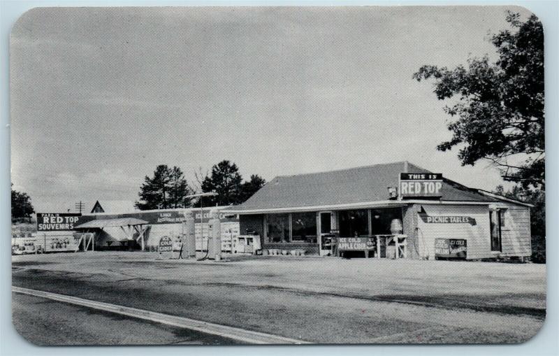 Postcard GA Bellton Red Top Station Roadside Souvenirs Cider Gas Pumps c1950s S3