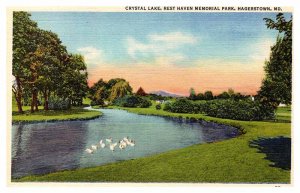 Postcard PARK SCENE Hagerstown Maryland MD AU9893