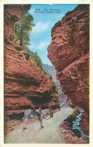 Williams Canon, Colorado The Narrows White Border Postcard Unused