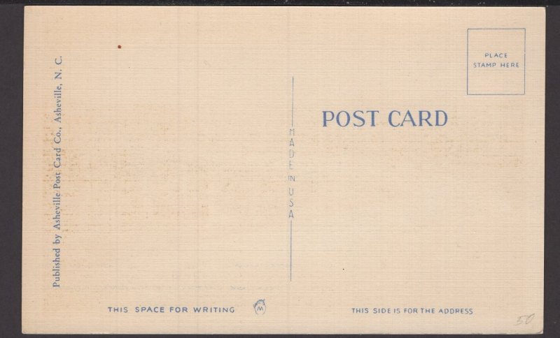 Virginia Roanoke - New Wasena Bridge ~ Linen