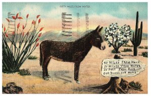 Fifty Miles From Water Horse Desert Cactus Postcard 1942
