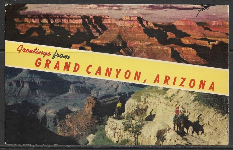 Arizona, Grand Canyon - Greetings From - [AZ-334]