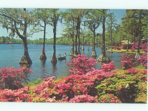 Pre-1980 TREES AND WATER ALONG SHORELINE Wilmington North Carolina NC AD5626