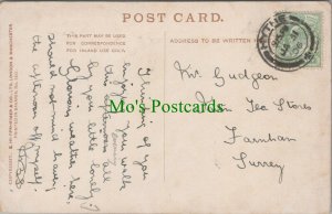 Genealogy Postcard - Gudgeon - International Tea Stores, Farnham, Surrey RF7952