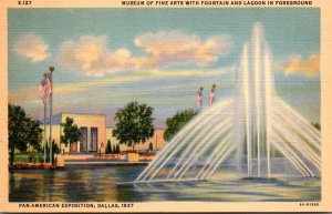 Texas Dallas Museum Of Fine Arts With Fountain and Lagoon Pan American Exposi...