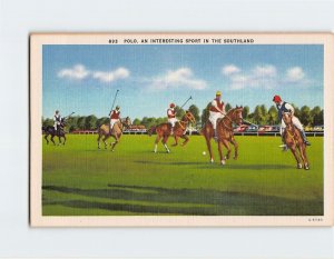 M-126707 Polo An Interesting Sport In The Southland