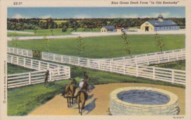 Kentucky Louisville Typical Blue Grass Stock Farm Curteich