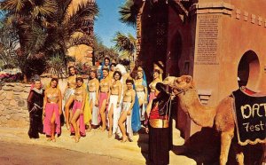 NATIONAL DATE FESTIVAL Indio CA Arabian Nights Pageant Belly Dancers 50s Vintage