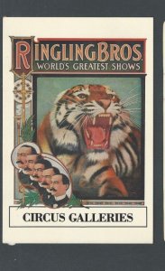 Post Card Art Poster Ringling Bros Probably By Strobridge Ca 1907 Repro