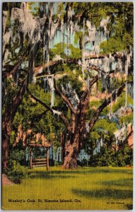 St. Simons Island GA-Georgia, Wesley's Oak, Ancient Branches, Vintage Postcard