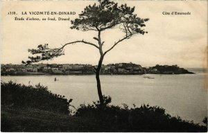 CPA Dinard- La Vicomte , Etude d'arbres FRANCE (1022125)