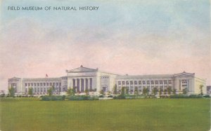 1933 Chicago Expo Field  Museum of Natural History Postcard  American Colortype