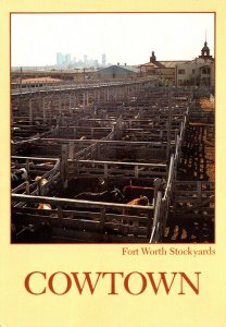 Texas Fort Worth Stockyards Cowtown