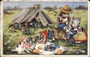 Cat Fantasy Kitty Cats Camping Tents Kittens Dressed Animals Vintage Postcard