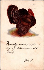 Happy Thanksgiving With Turker 1905