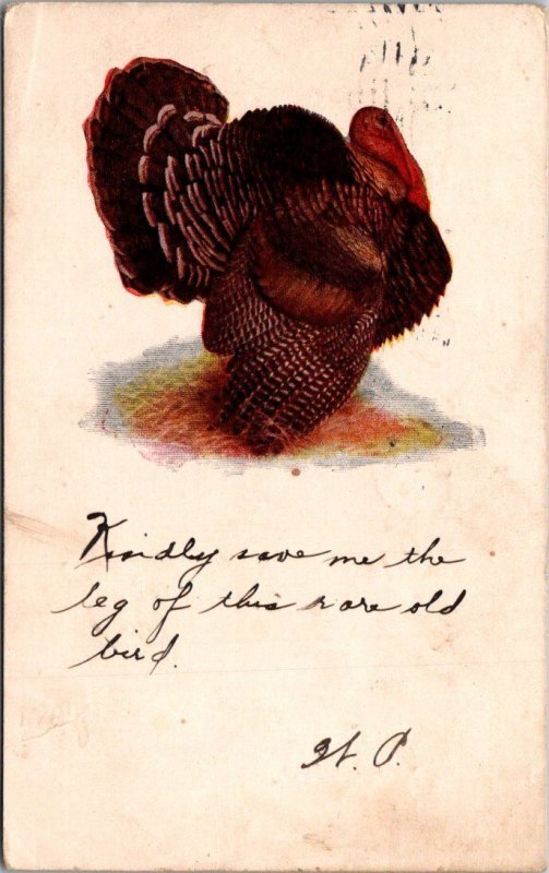 Happy Thanksgiving With Turker 1905