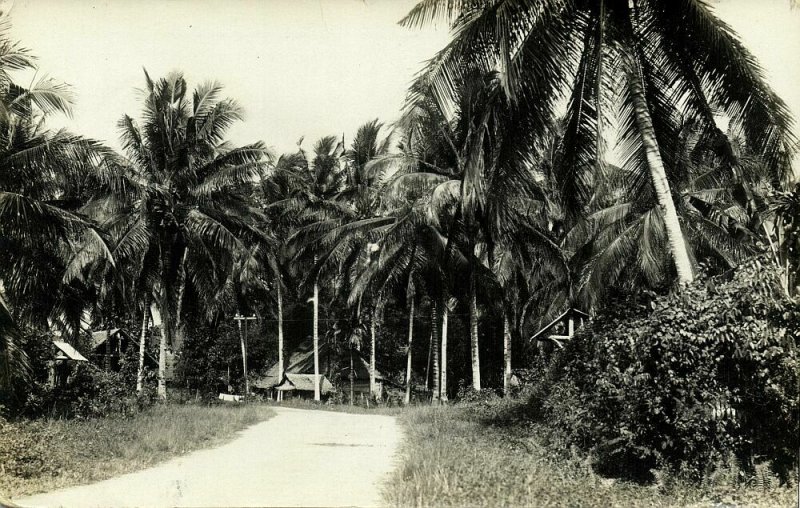 british North Borneo, JESSELTON, Native Houses between Palm Trees (1933) RPPC