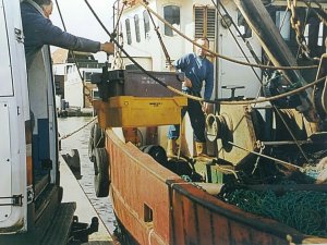 Unloading Fresh Fish at the Quay Vintage Postcard Photo by Mrs Vera Whitlock