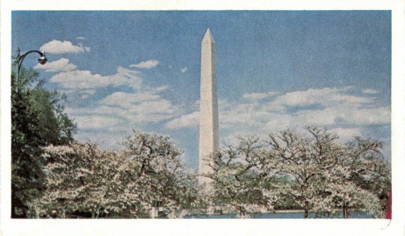 Postcard Washington Monument Washington DC 