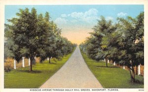 Hibiscus Avenue Through Holly Hill Groves Davenport, Florida