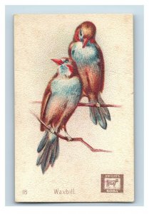 1880s-90s Arm & Hammer Beautiful Birds Series Waxbill Lot Of 5 P222