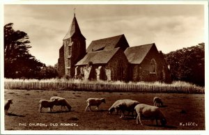 RPPC Sheep by St Clements Church Romney England Valentine's Real Photo Postcard