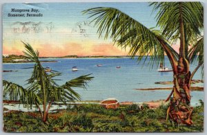 Somerset Bermuda 1951 Postcard Mangrove Bay