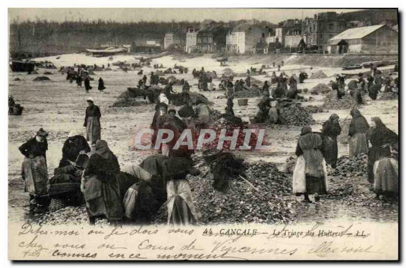Old Postcard Cancale Sorting Oysters oyster farming