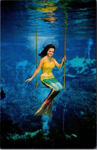 Florida Weeki Wachee Spring Beautiful Mermaid