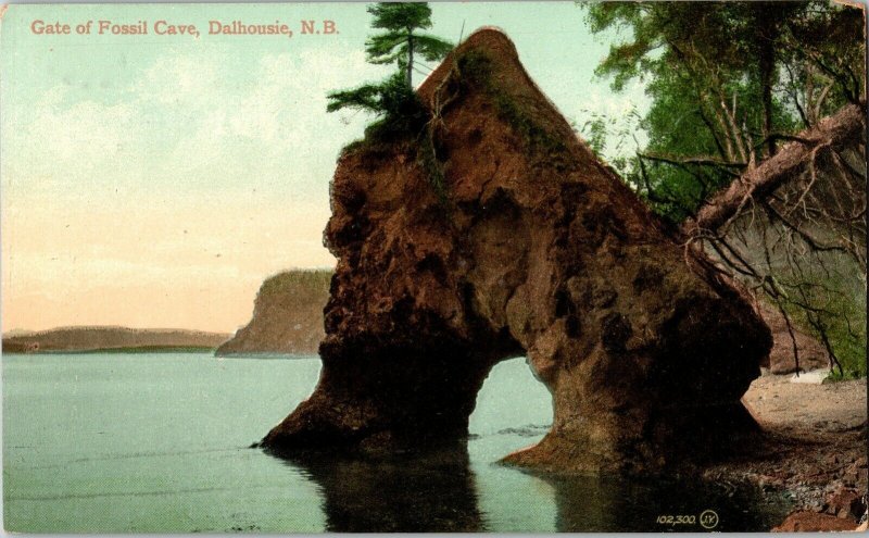 Gate Fossil Cave Dalhousie NB Montreal Toronto Canada Postcard Vintage UDB Vtg 