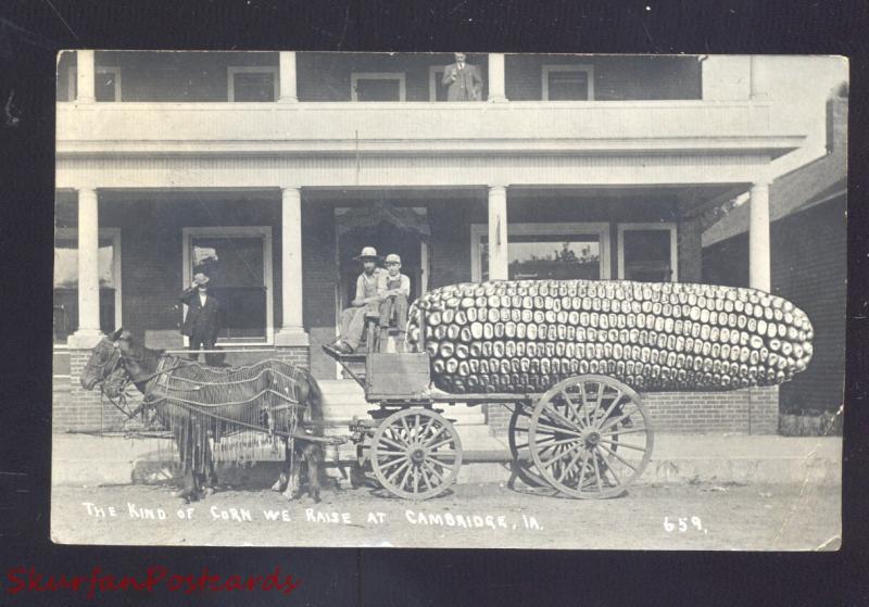 RPPC CAMBRIDGE IOWA HORSE DRAWN FARMING EXAGGERATION REAL PHOTO POSTCARD