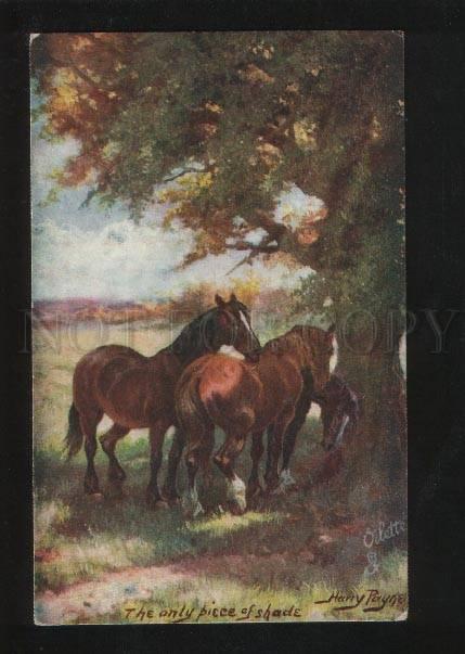 060607 HORSES in Shade by HARRY PAYNE old TUCK 3311