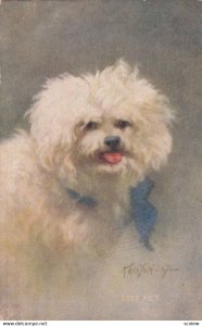 AS KENYON , White Dog Pet , 00-10s