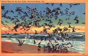 Delaware Rehoboth Beach Dinner Time For The Sea Gulls 1955